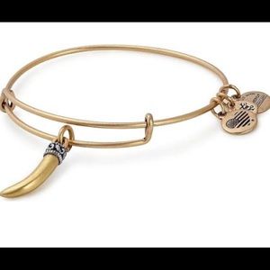 Alex and Ani bracelet